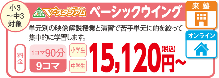 V-スタジアム ベーシックウイング